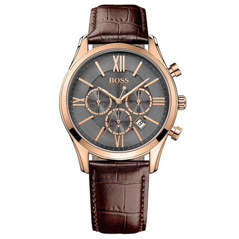 Montre Hugo Boss Ambassador Homme 1513198
