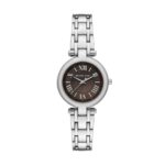 Montre Michael Kors Femme MK4894 Argenté Cadran Marron